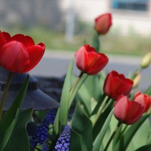 Meet your Posher, Walter